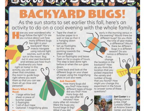 Sari on Science: Backyard Bugs!