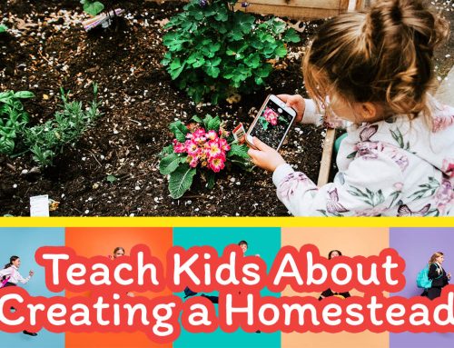 Teach Kids About Creating a Homestead
