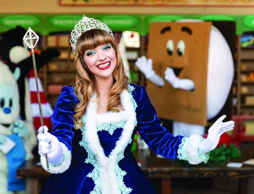 Christmas at the Princess: A Sparkling Holiday Adventure for the Whole Family