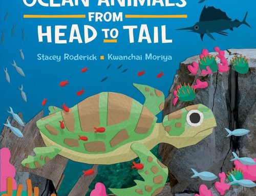 Book Club: With Sandee of Maricopa County Libraries